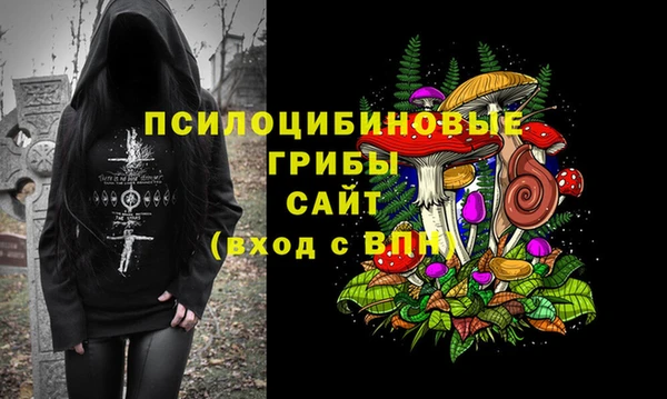 spice Пролетарск