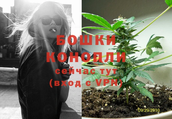 spice Протвино